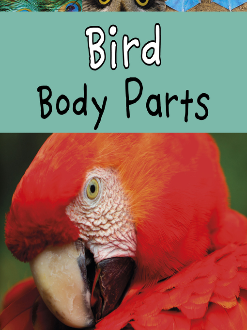 Title details for Bird Body Parts by Clare Lewis - Wait list